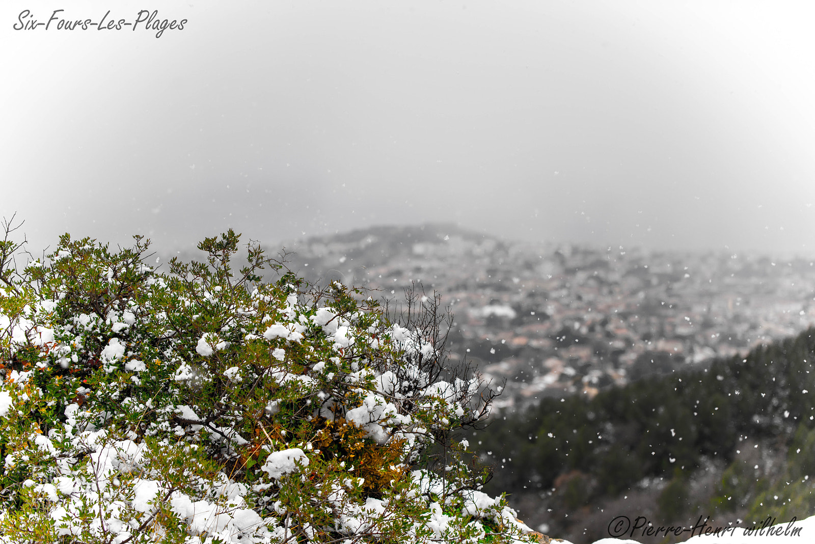 Nikon D610 sample photo. Untitled photography
