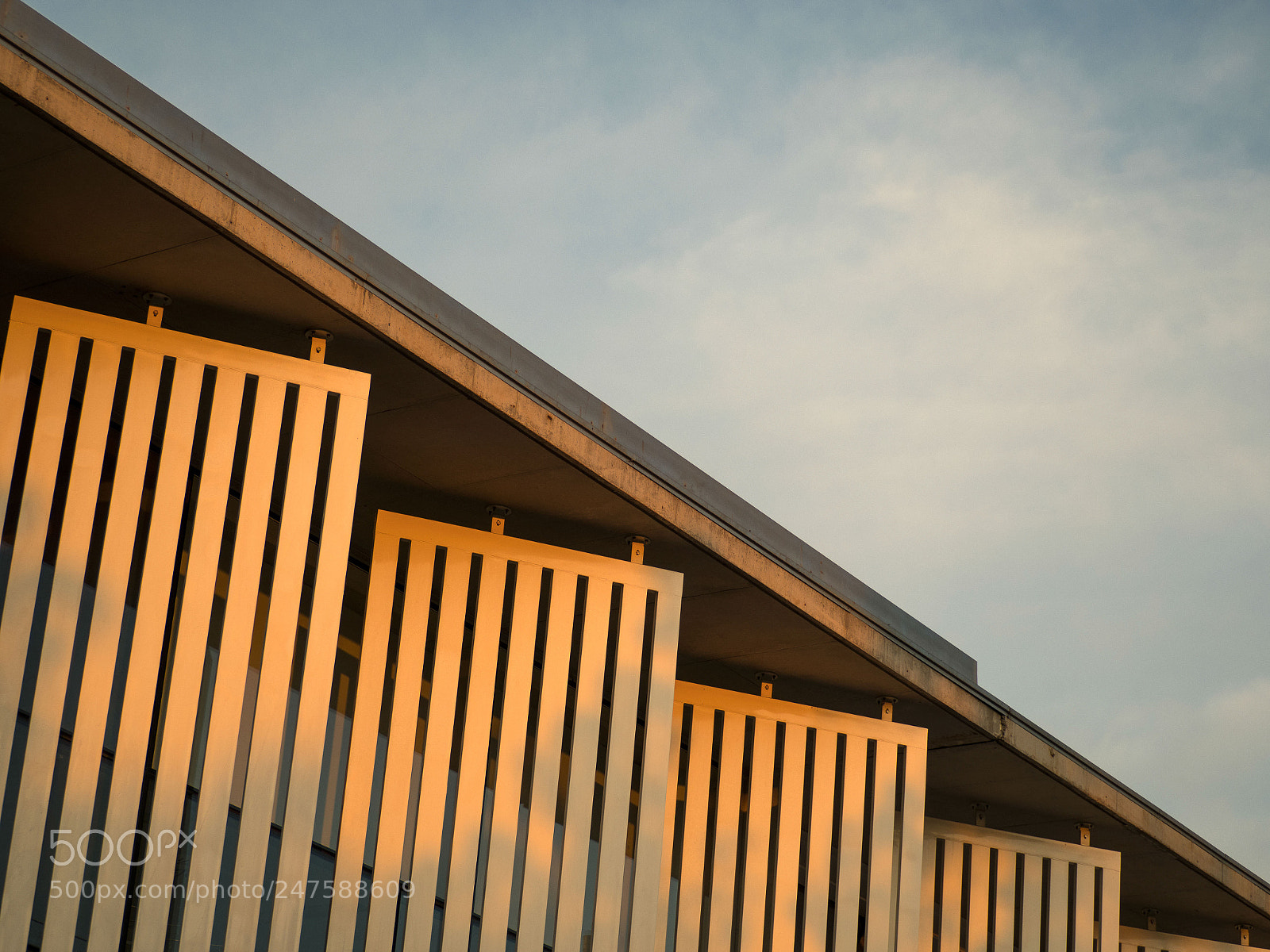 Olympus OM-D E-M1 Mark II sample photo. ... photography