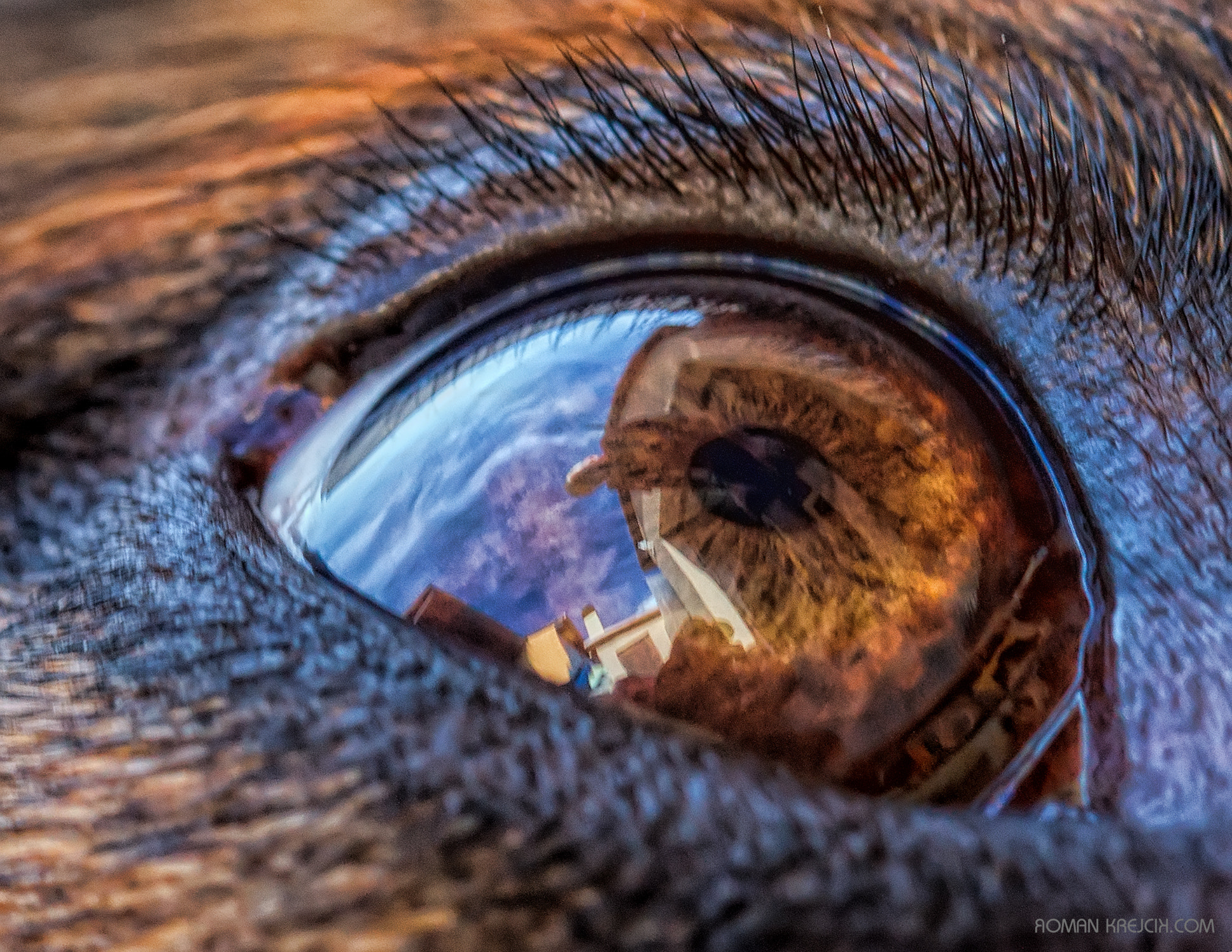 Canon EOS sample photo. Eye photography