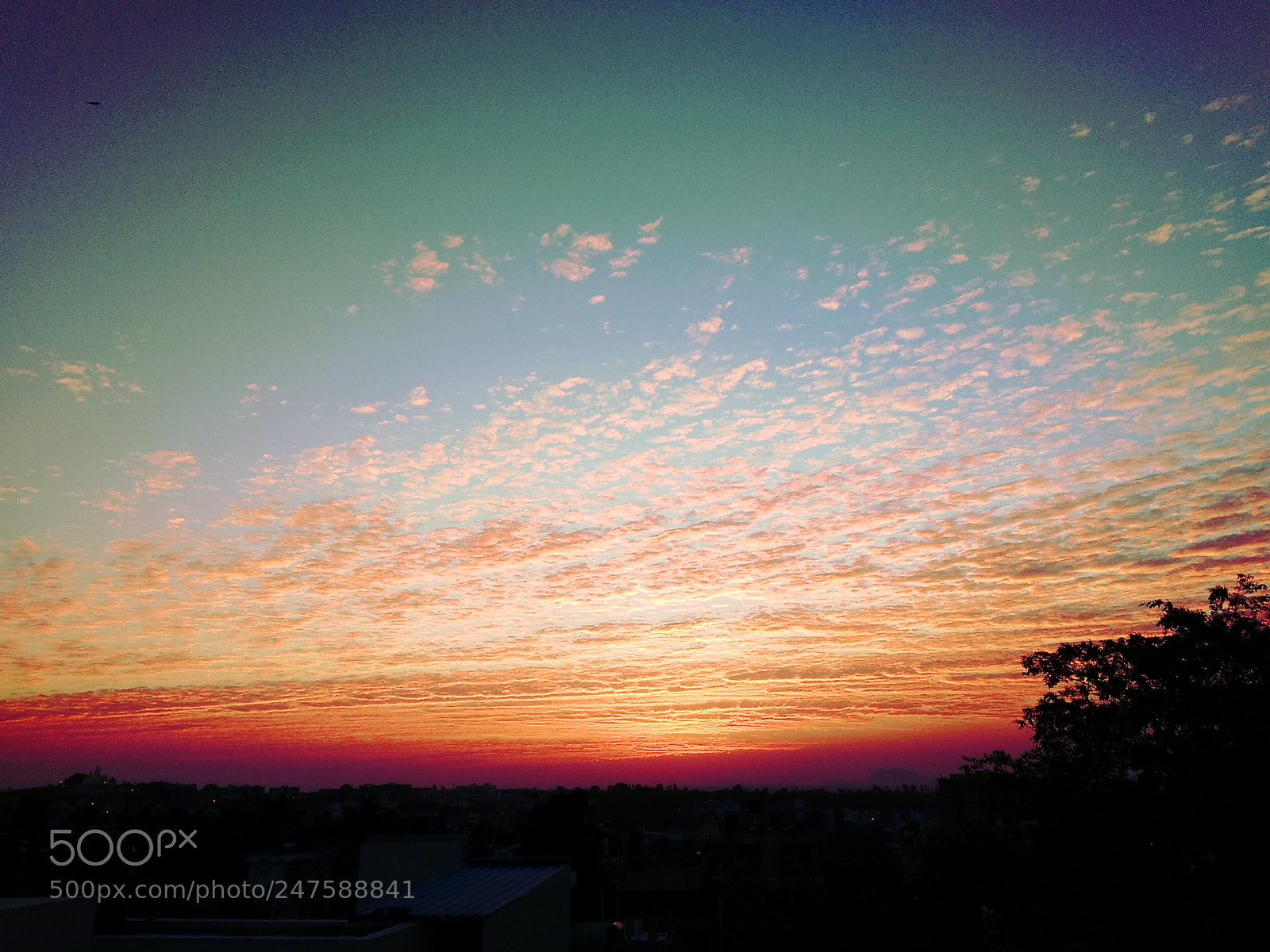 Xiaomi Redmi 4A sample photo. Summer sunset photography
