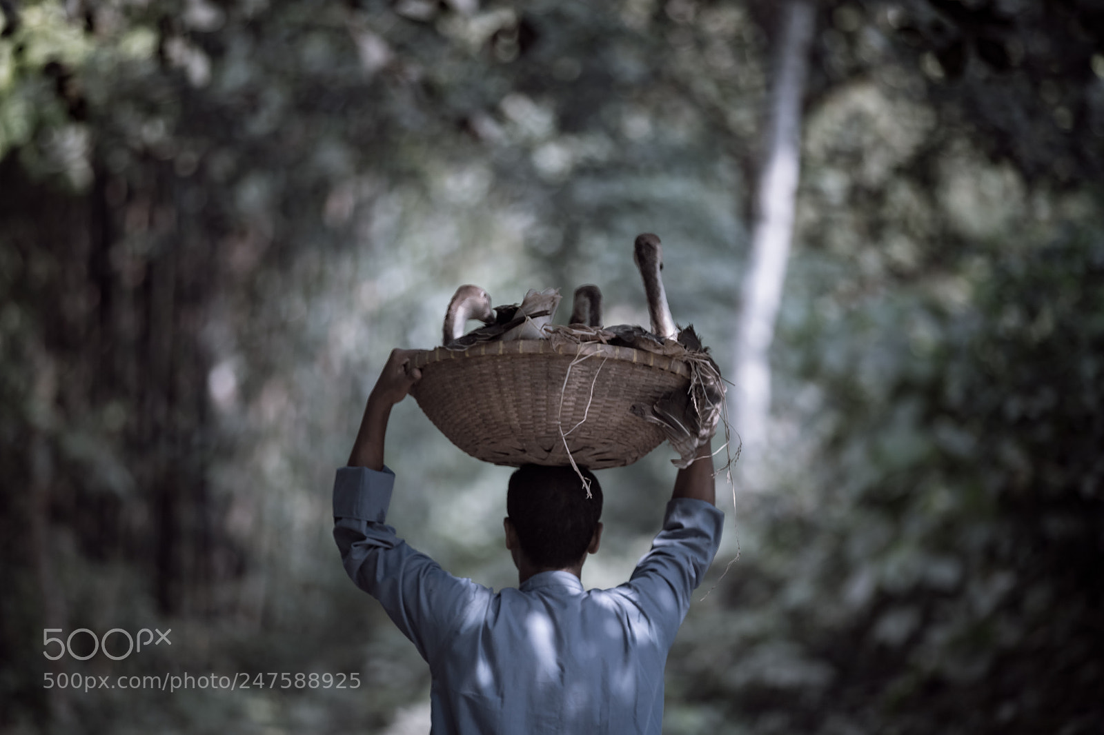 Canon EOS 6D Mark II sample photo. Salesman photography