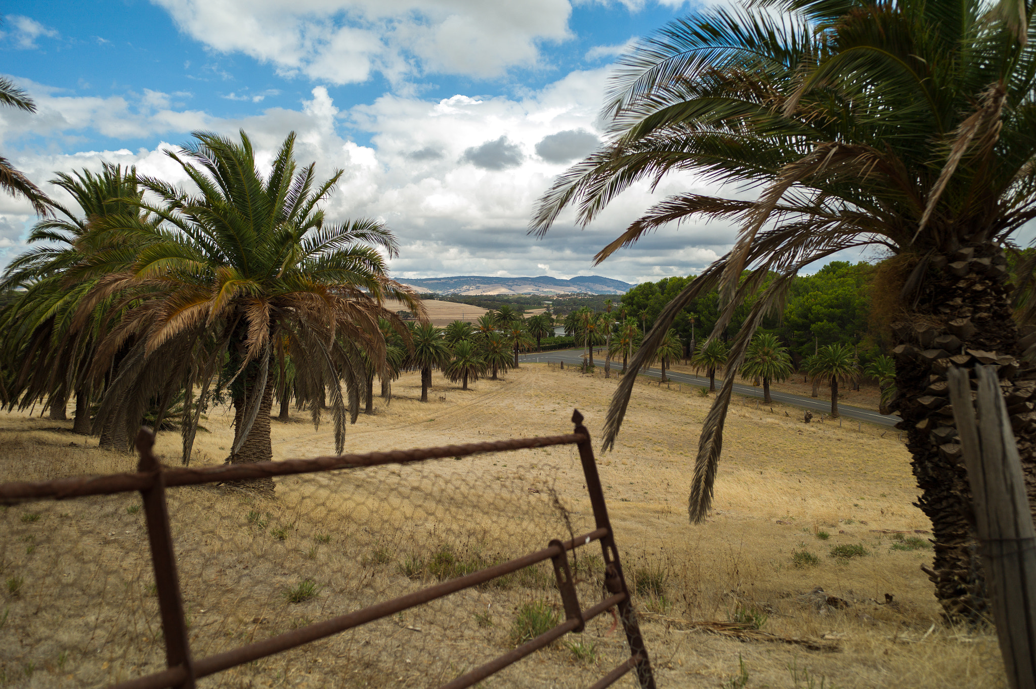 Leica M9 + Elmarit-M 28mm f/2.8 (III) sample photo. Warm photography