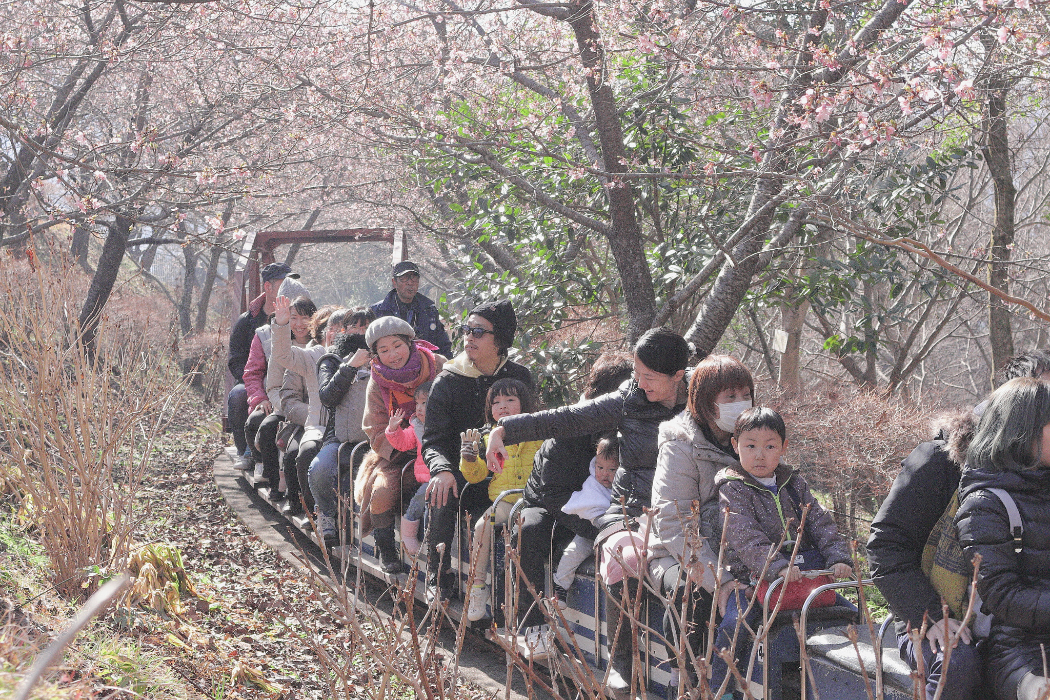 Canon EOS 100D (EOS Rebel SL1 / EOS Kiss X7) sample photo. Go for spring photography