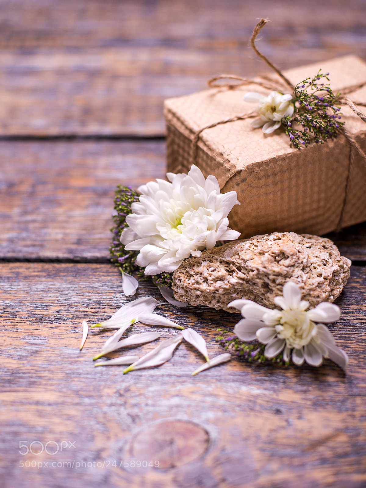 Nikon D610 sample photo. Spring flowers , present photography