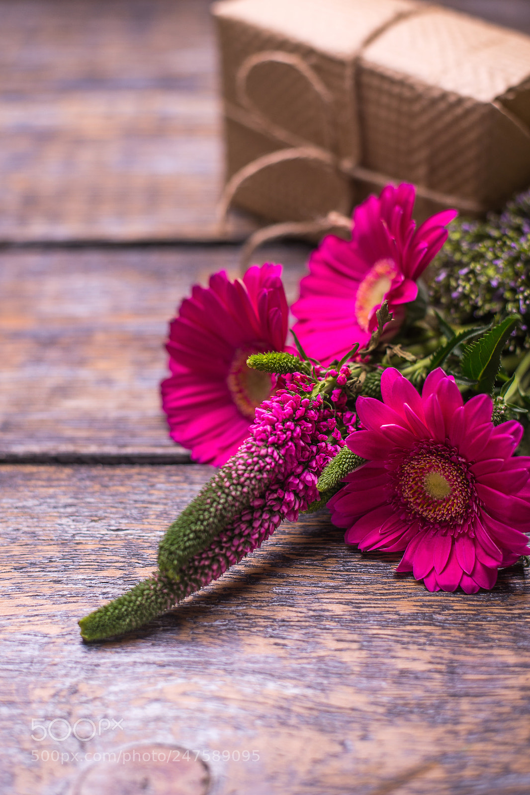 Nikon D610 sample photo. Spring flowers , present photography