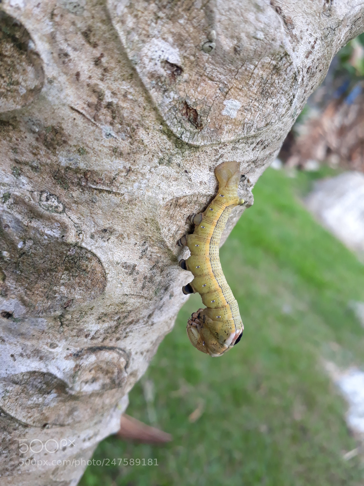 Samsung Galaxy J7 Prime sample photo. 20180227_080415.jpg photography