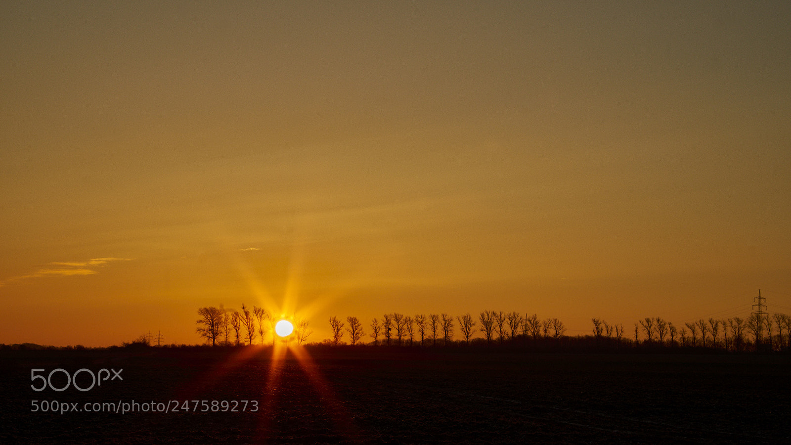 Pentax K-S2 sample photo. Morning has broken photography