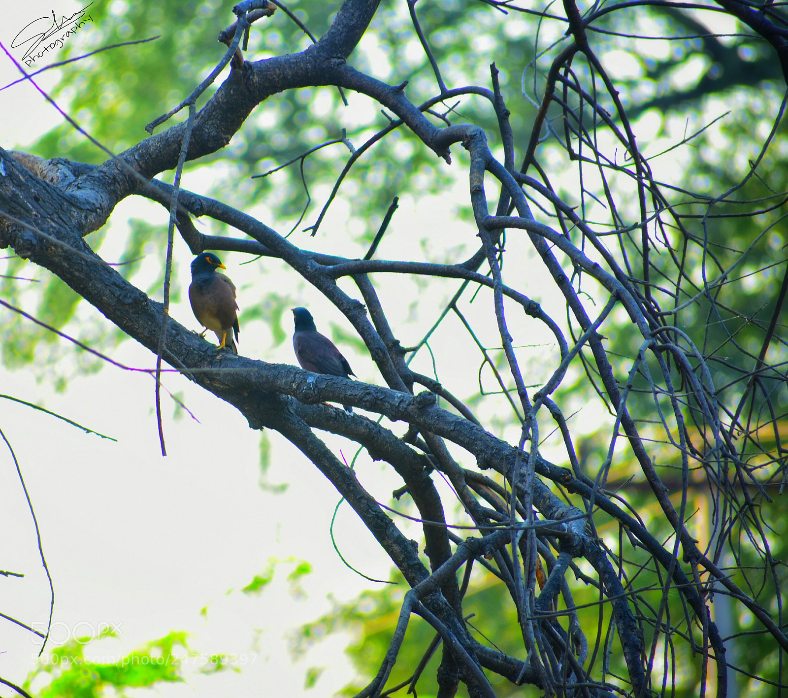 Nikon D3400 sample photo. Untitled photography