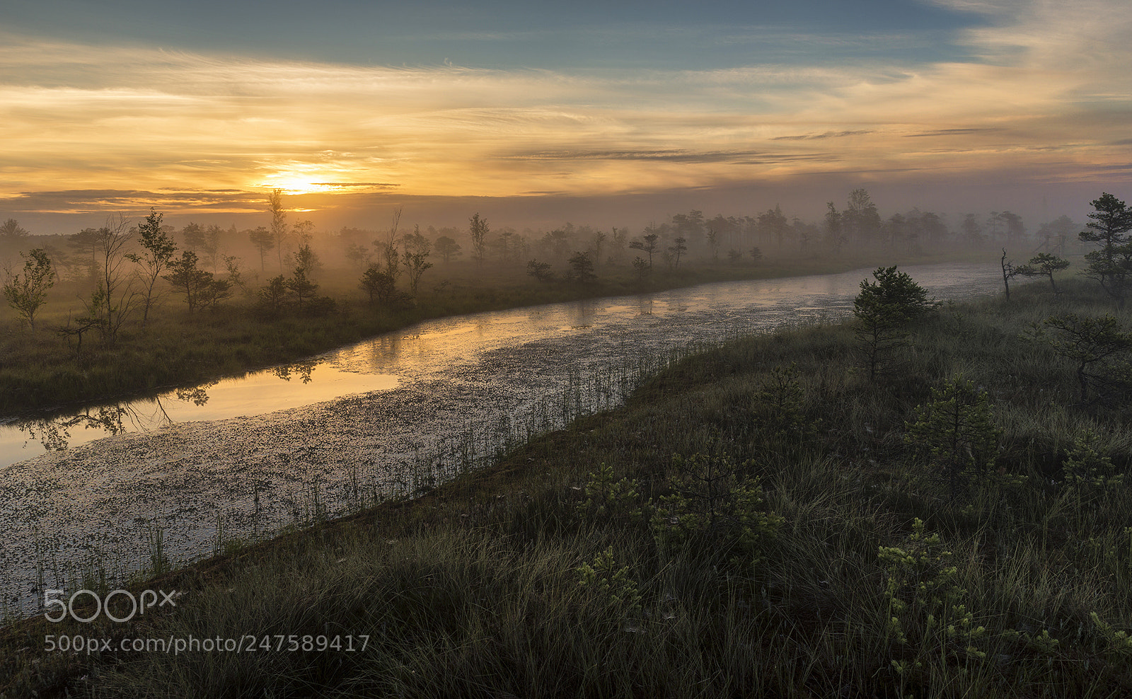 Sony SLT-A99V sample photo. .... photography