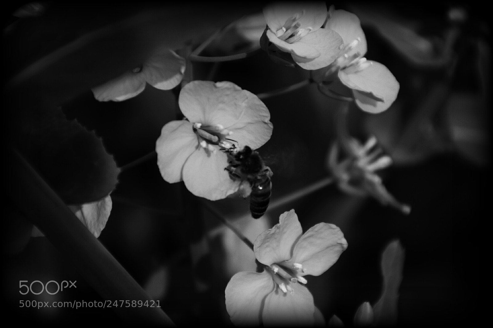 Canon EOS 80D sample photo. Untitled photography