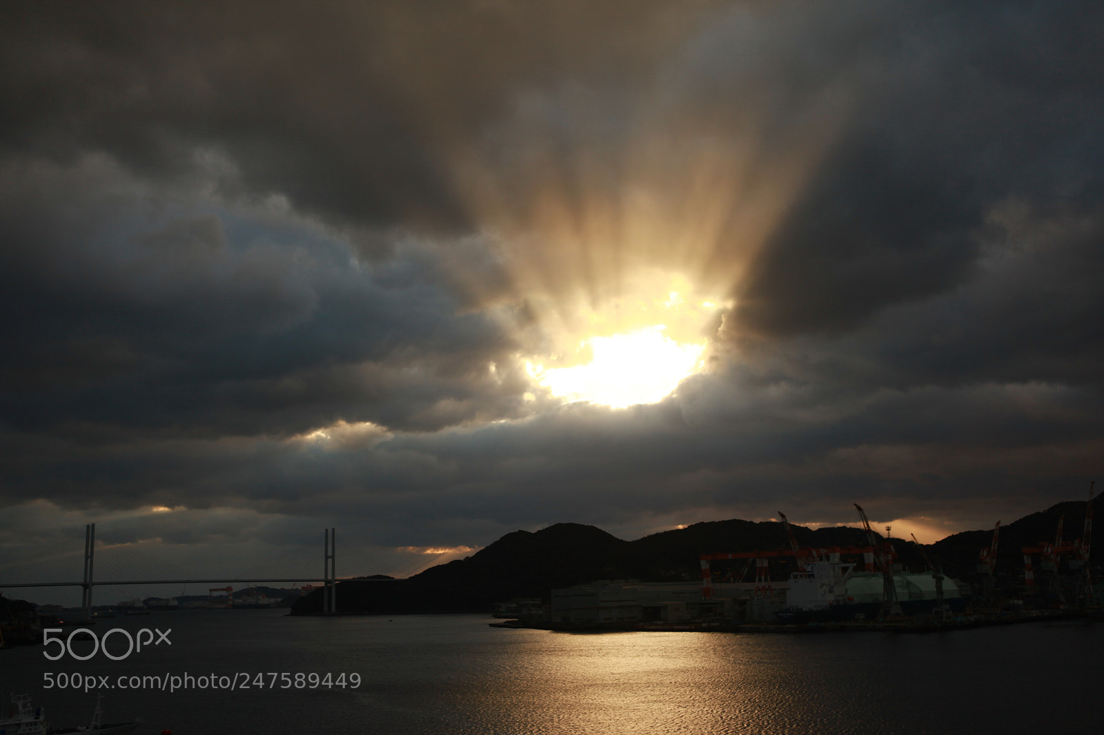 Canon EF 24-70mm F2.8L USM sample photo. Untitled photography