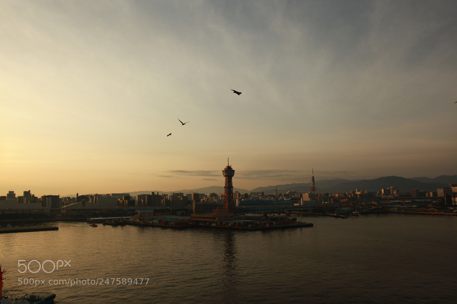 Canon EF 24-70mm F2.8L USM sample photo. Untitled photography