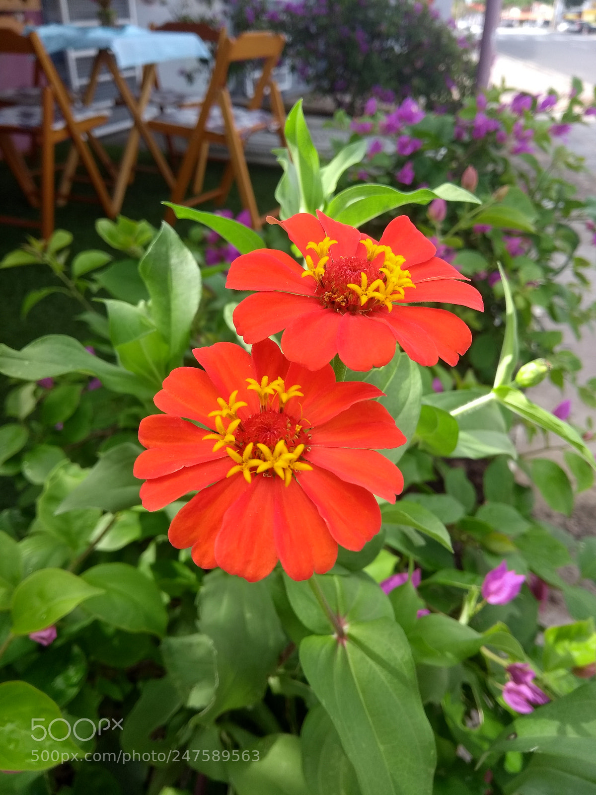 Motorola Moto G (5th Gen) sample photo. Untitled photography