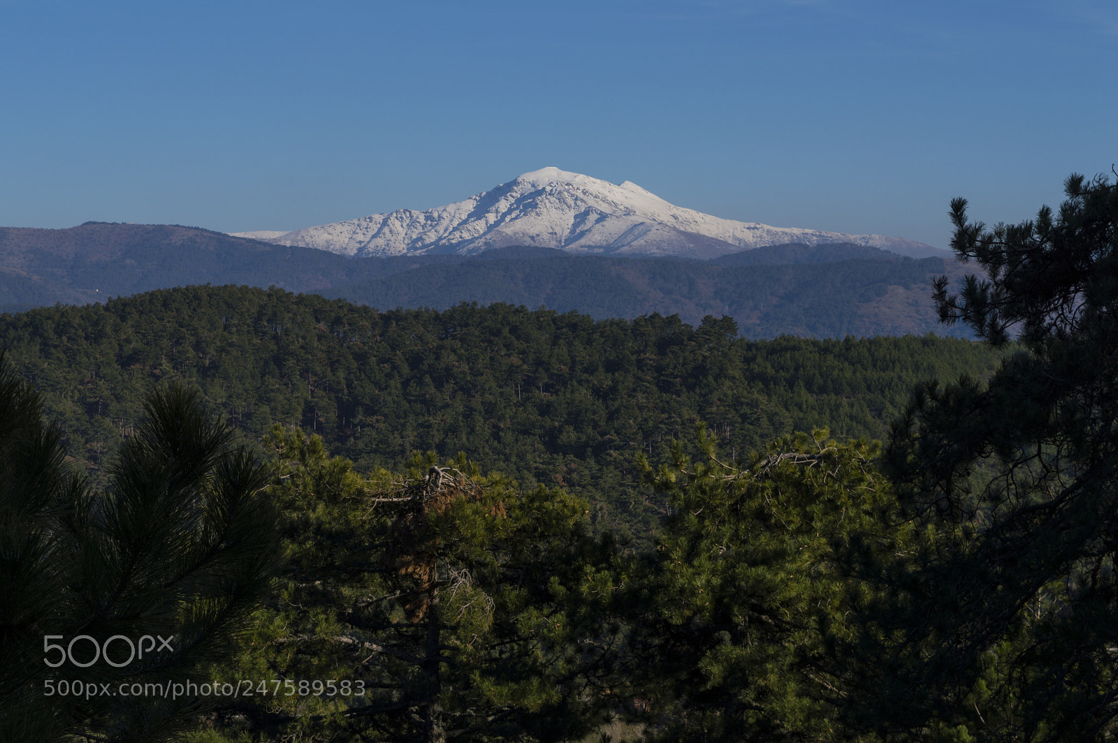 Nikon D3200 sample photo. Bozdağ photography
