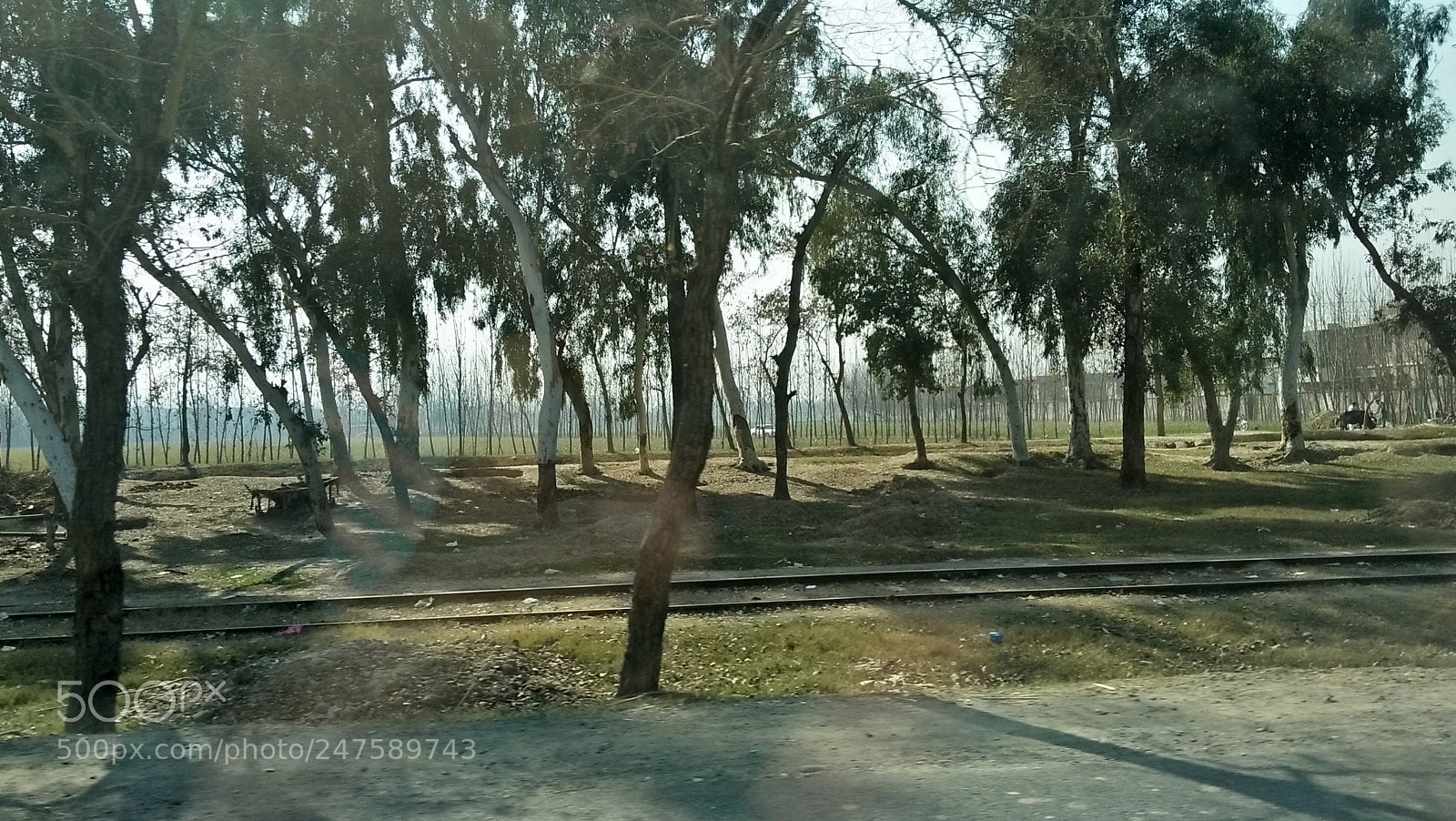 OPPO A37fw-International sample photo. Untitled photography
