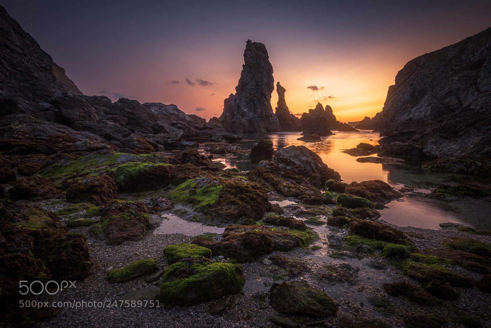 Nikon D810 sample photo. Peaceful golden sunset over photography