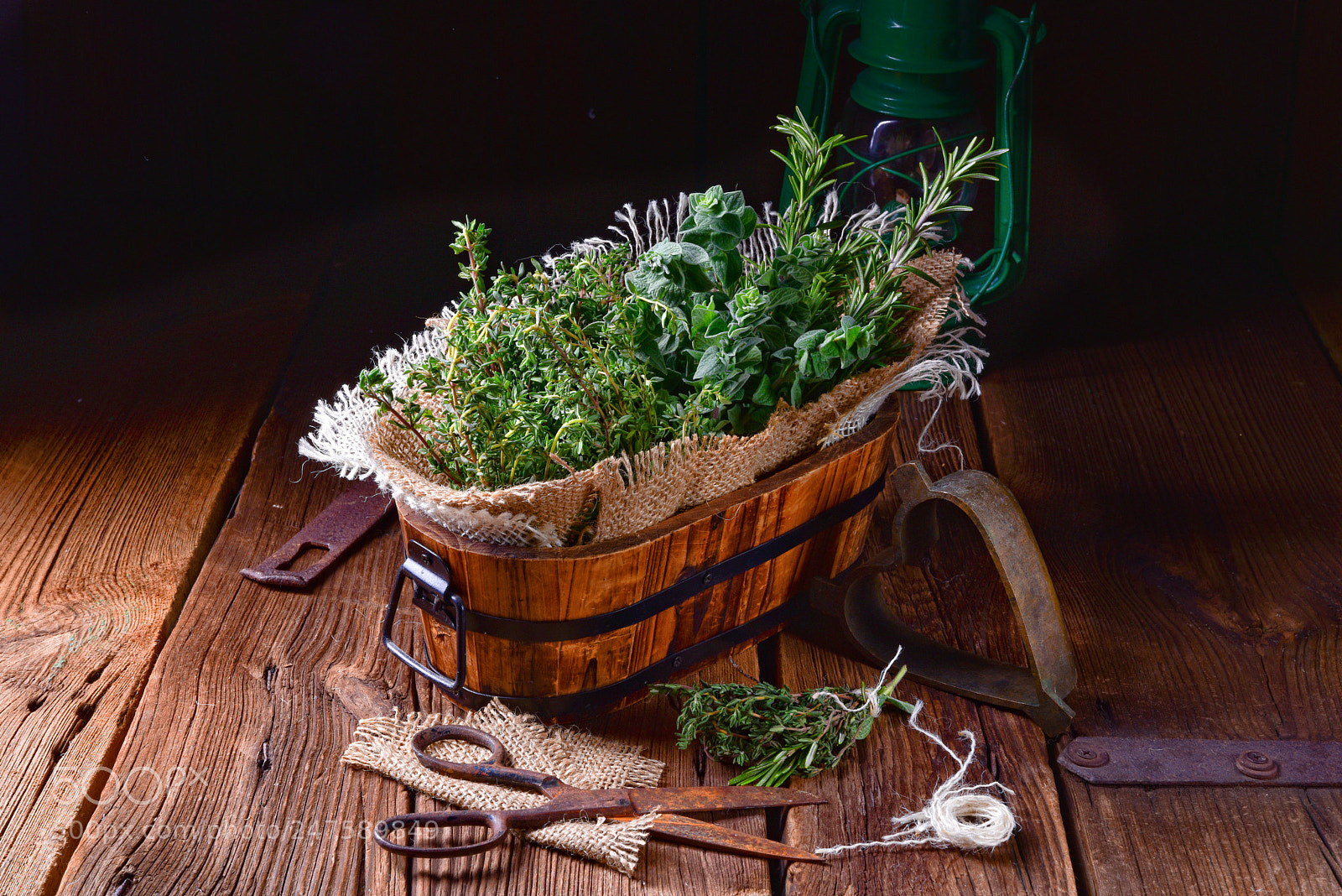 Nikon D810 sample photo. Herbal collection of thyme,oregano photography