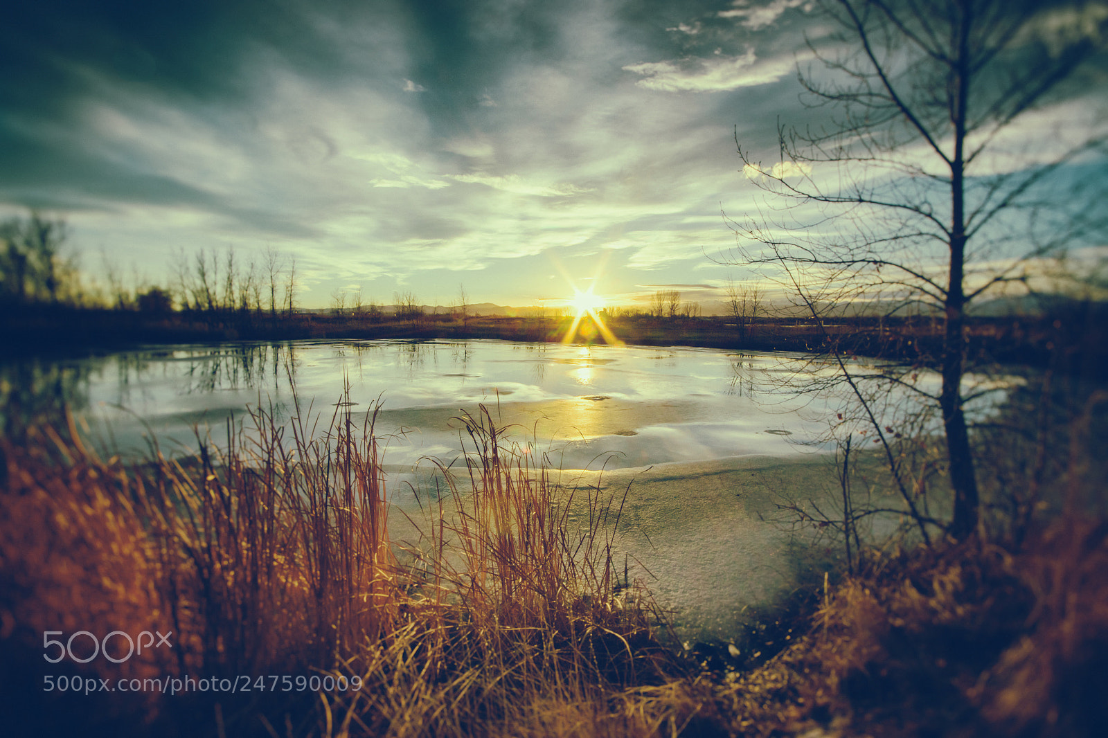 Canon EOS 7D Mark II sample photo. Sundown at the pond photography