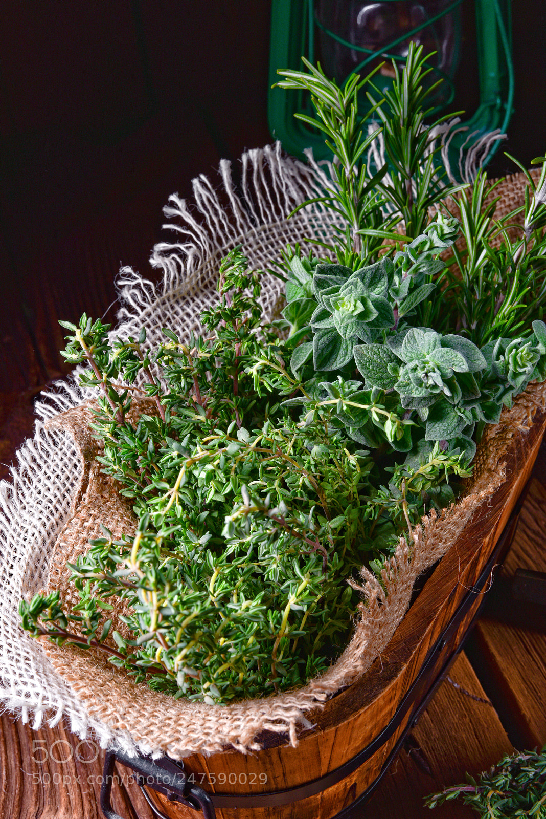 Nikon D810 sample photo. Herbal collection of thyme,oregano photography