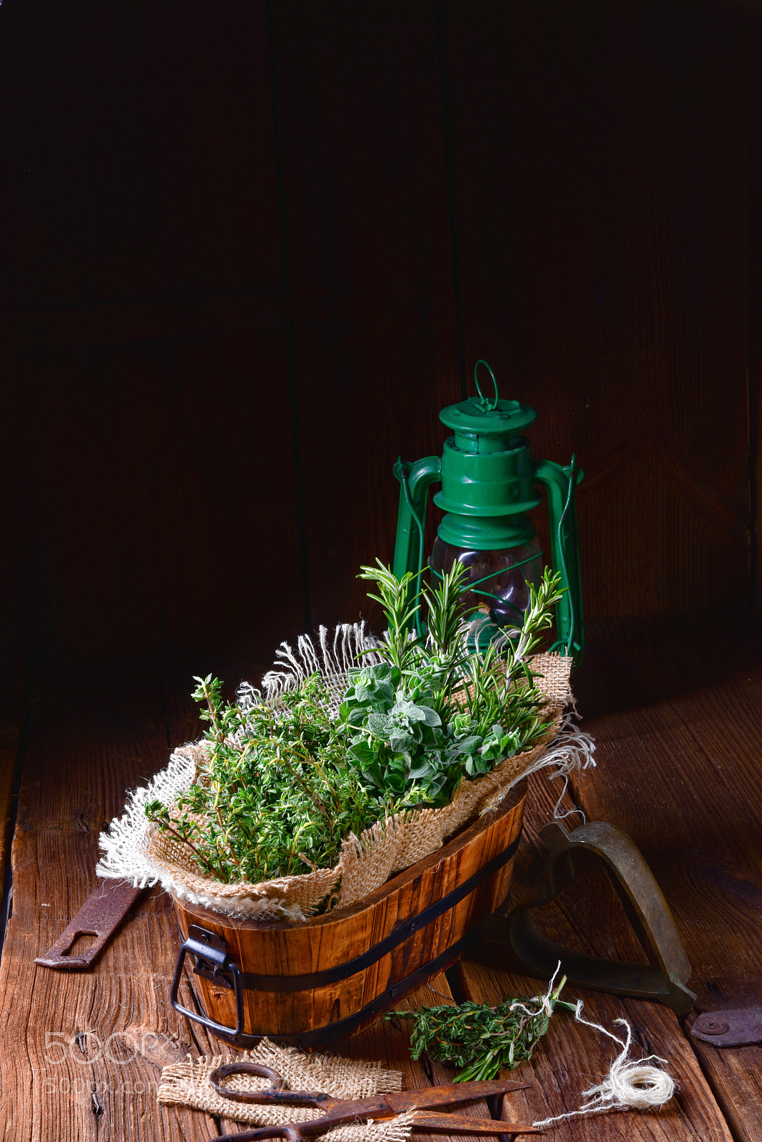 Nikon D810 sample photo. Herbal collection of thyme,oregano photography