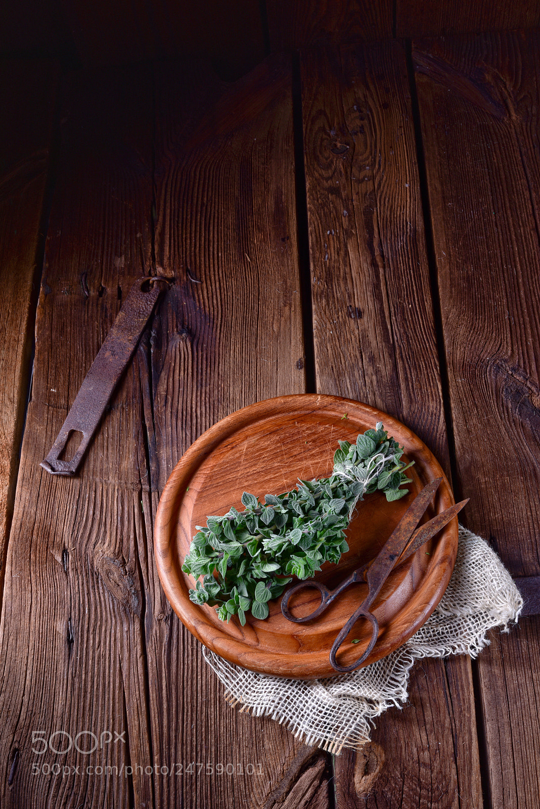 Nikon D810 sample photo. Aromatische oregano (origanum vulgare) photography
