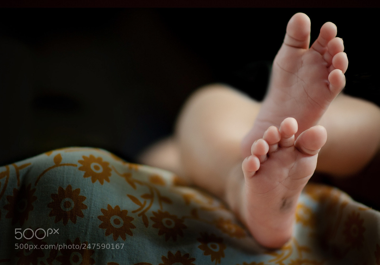 Nikon D90 sample photo. Cutesies photography