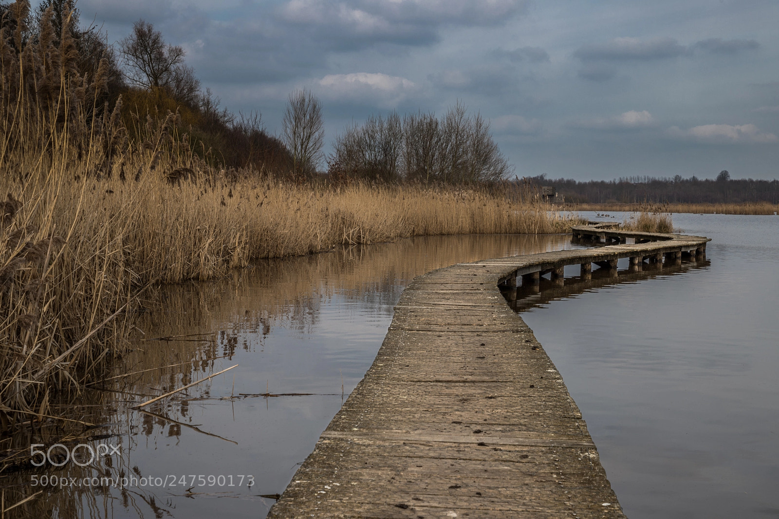 Canon EOS 6D Mark II sample photo. The wooden pathway photography