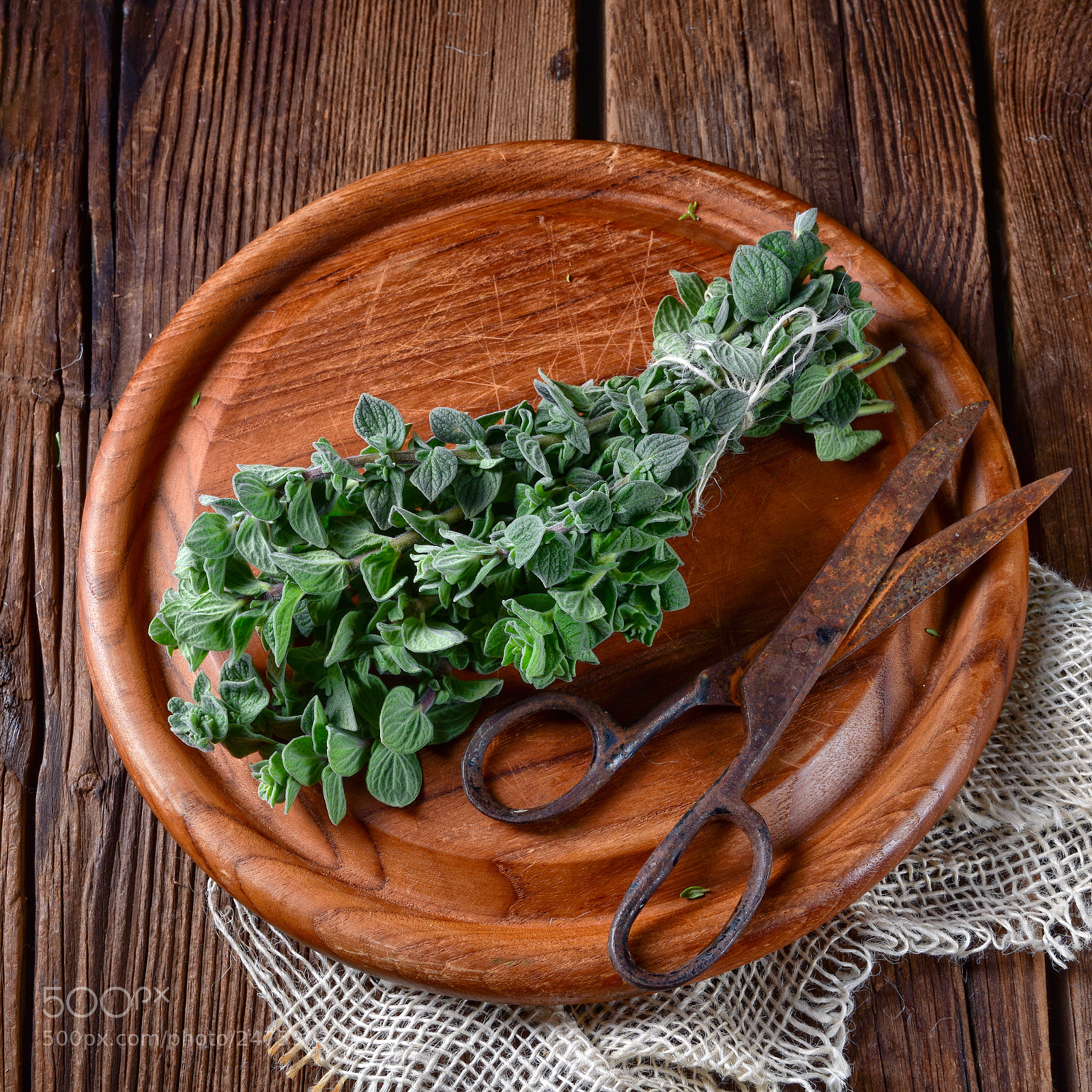 Nikon D810 sample photo. Aromatische oregano (origanum vulgare) photography