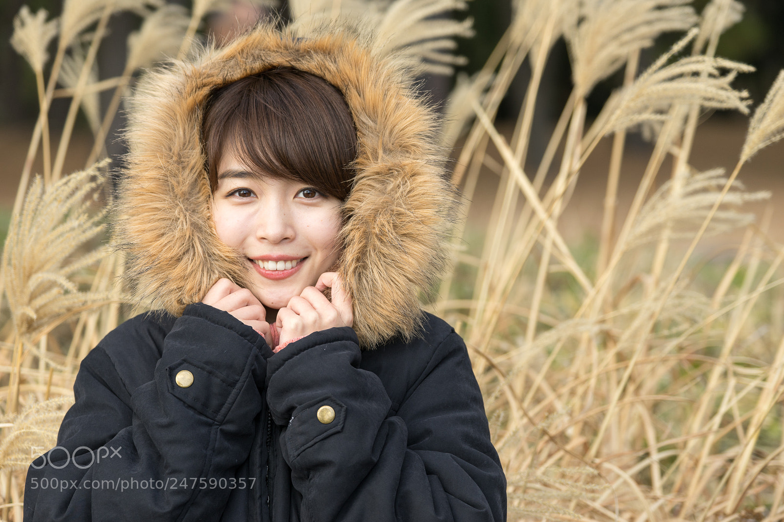 Sony a7 II sample photo. Misuzu photography