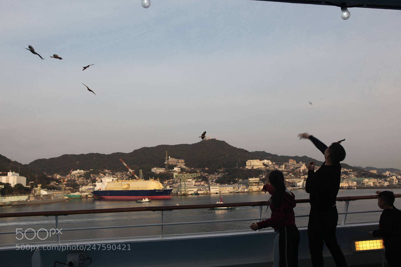 Canon EF 24-70mm F2.8L USM sample photo. Untitled photography