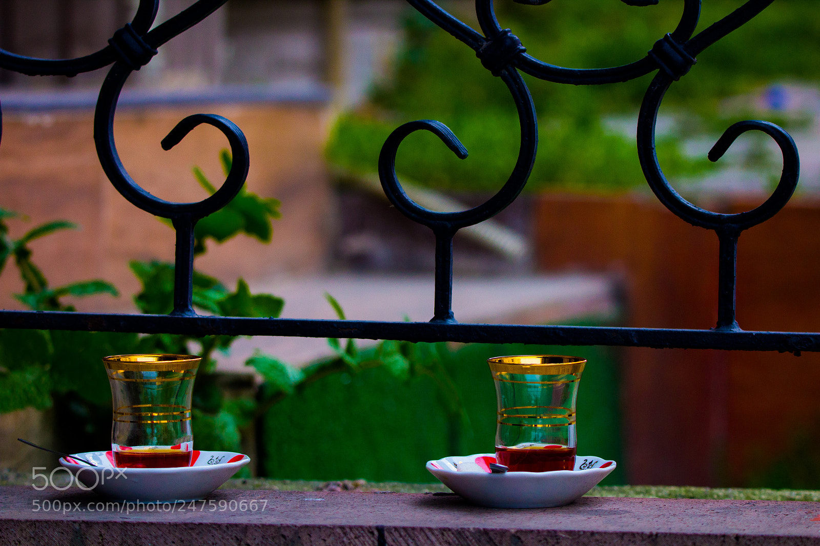 Canon EOS 600D (Rebel EOS T3i / EOS Kiss X5) sample photo. Tea time photography