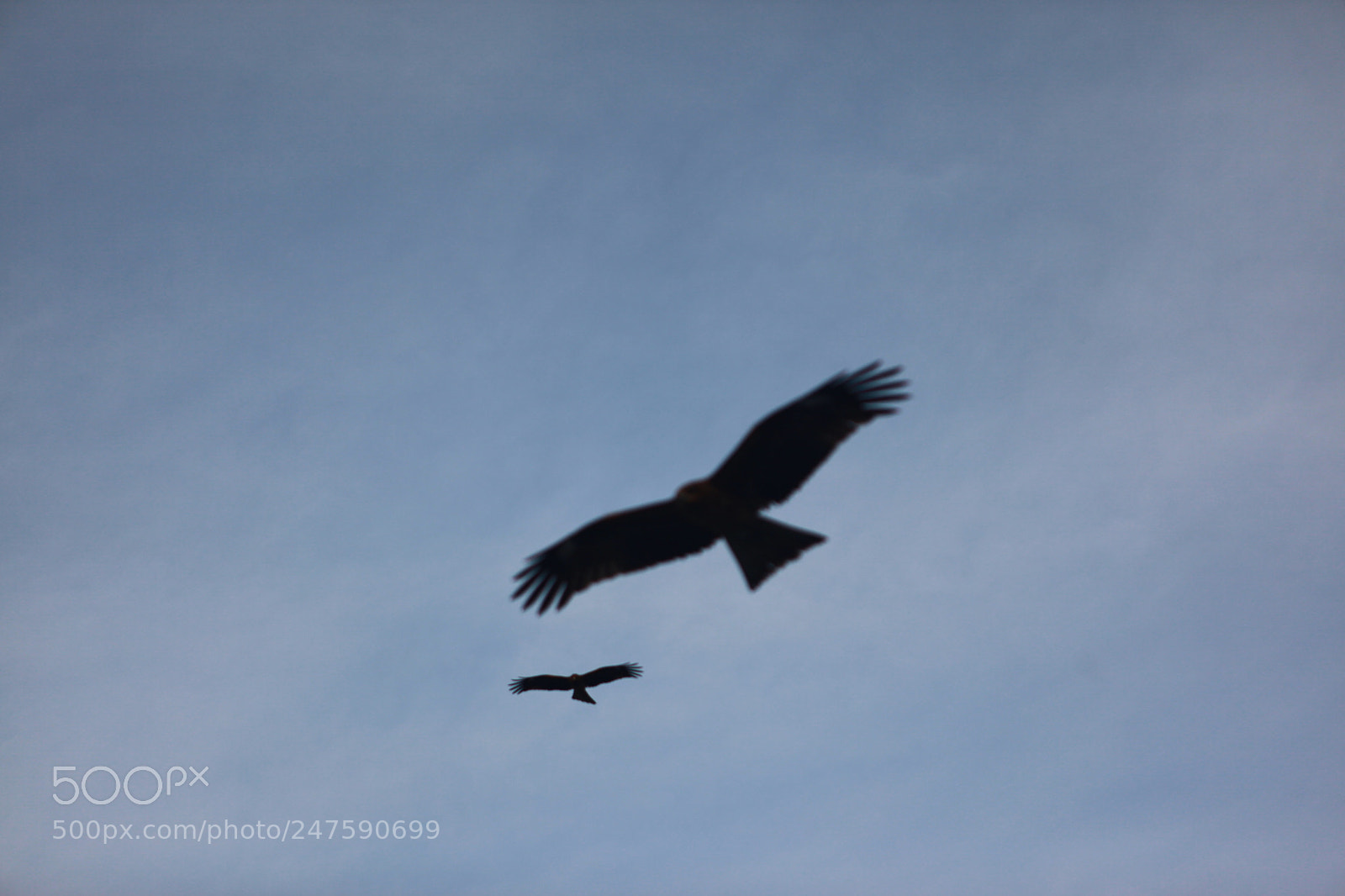 Canon EF 24-70mm F2.8L USM sample photo. Untitled photography