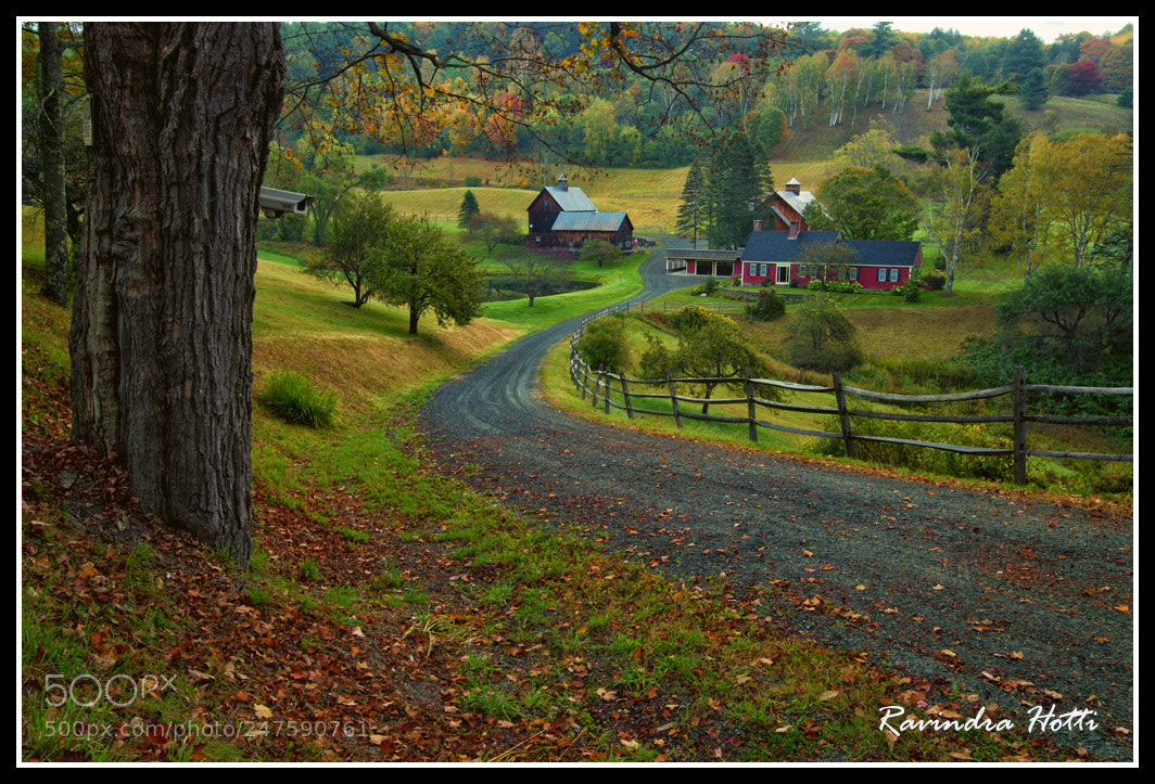 Nikon D800E sample photo. Sleepy hollow farm photography