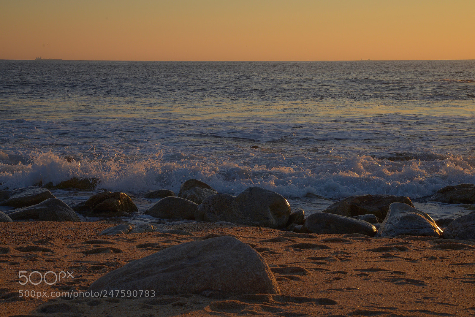 Nikon D610 sample photo. Untitled photography