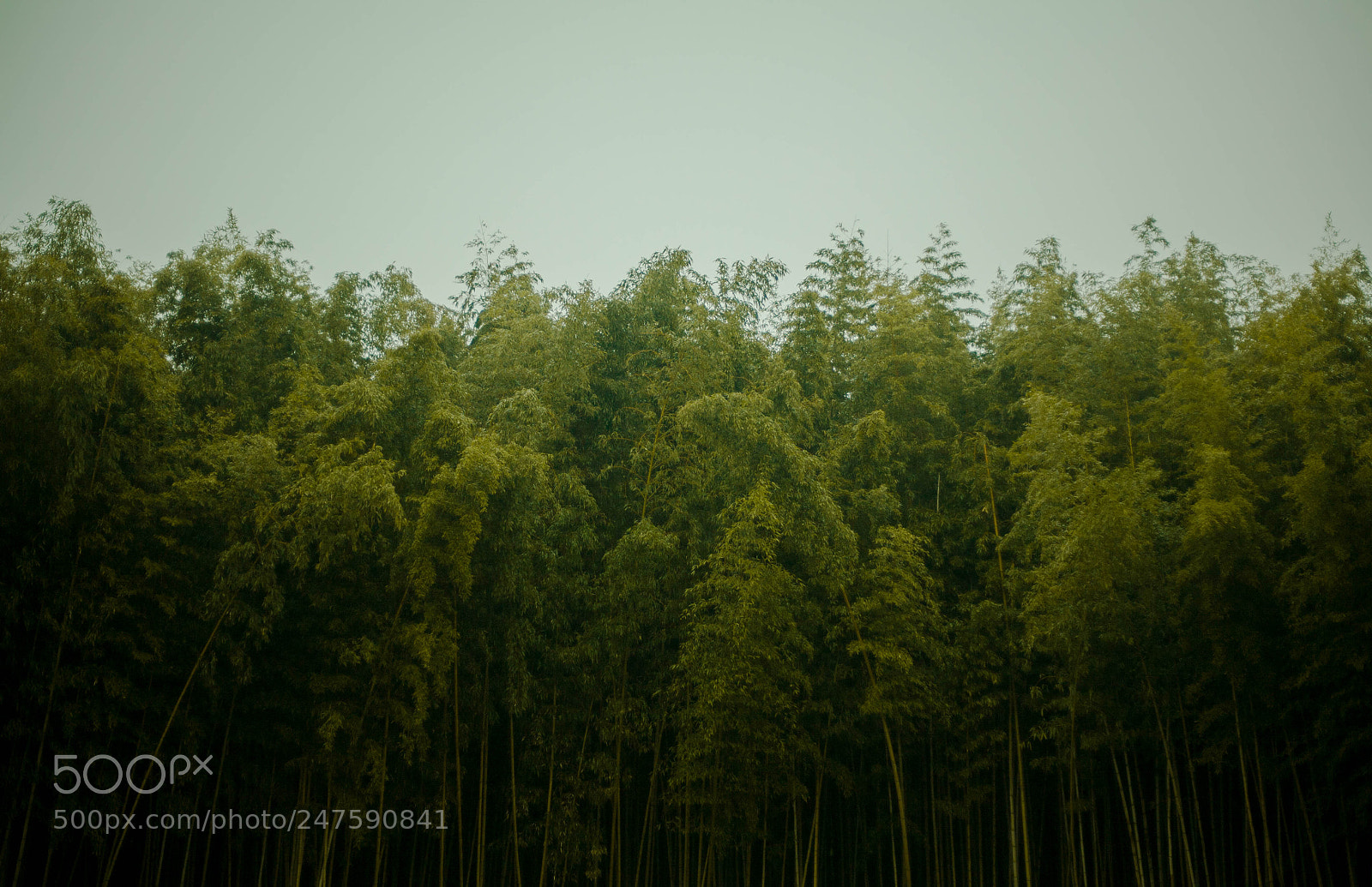Canon EOS 5D sample photo. Untitled photography