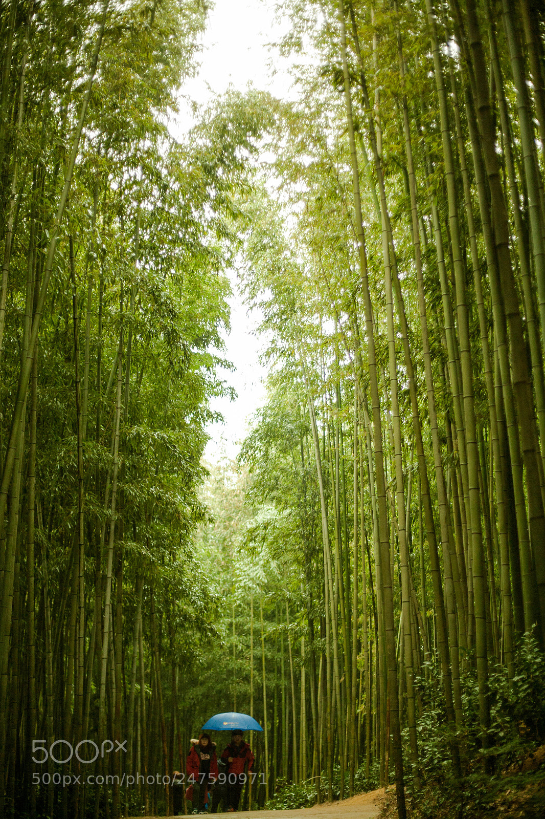 Canon EOS 5D sample photo. Untitled photography