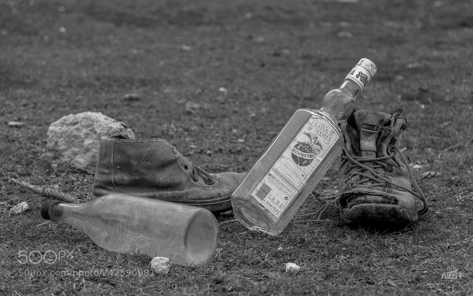 Nikon D7100 sample photo. La vida.jpg photography