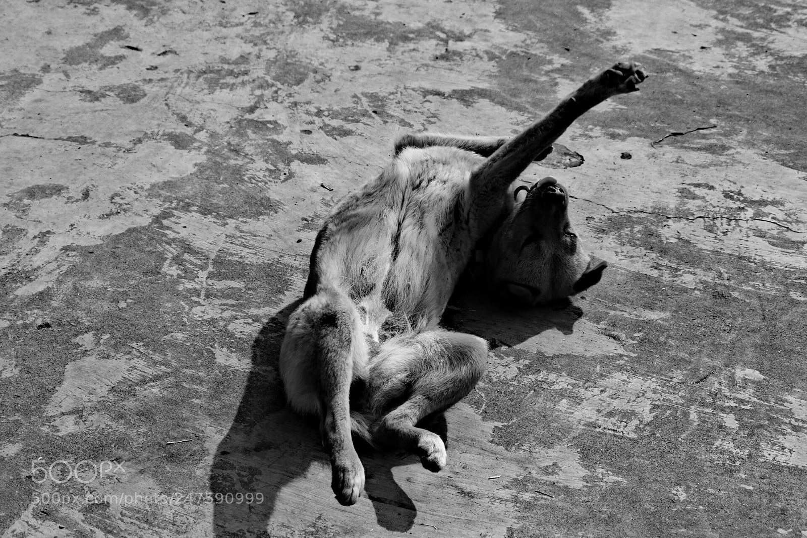 Canon EOS 80D sample photo. Untitled photography