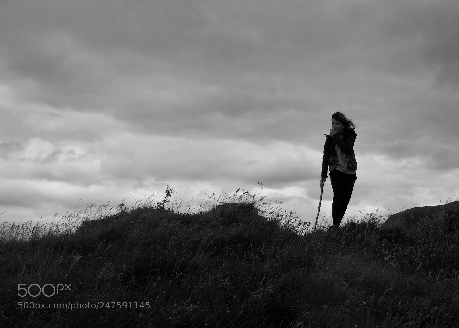 Nikon D5000 sample photo. Reaching the top photography