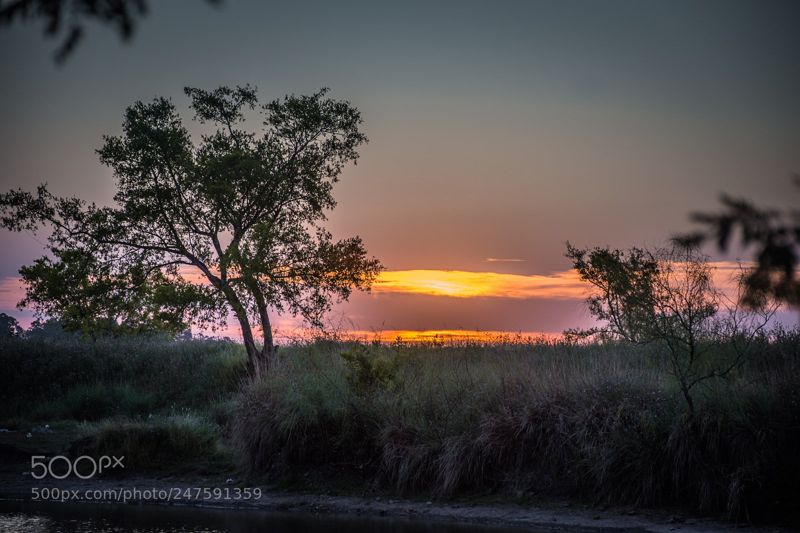 Nikon D7200 sample photo. Colores del atardecer veraniego photography