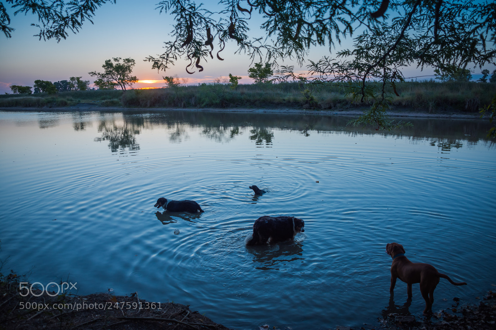 Nikon D7200 sample photo. Colores del atardecer veraniego photography
