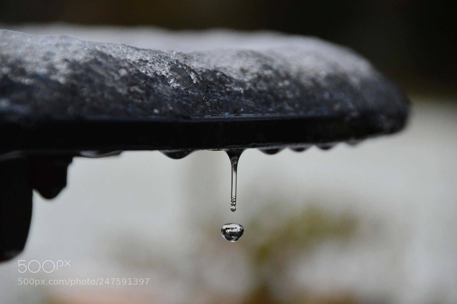 Nikon D3200 sample photo. Drop photography