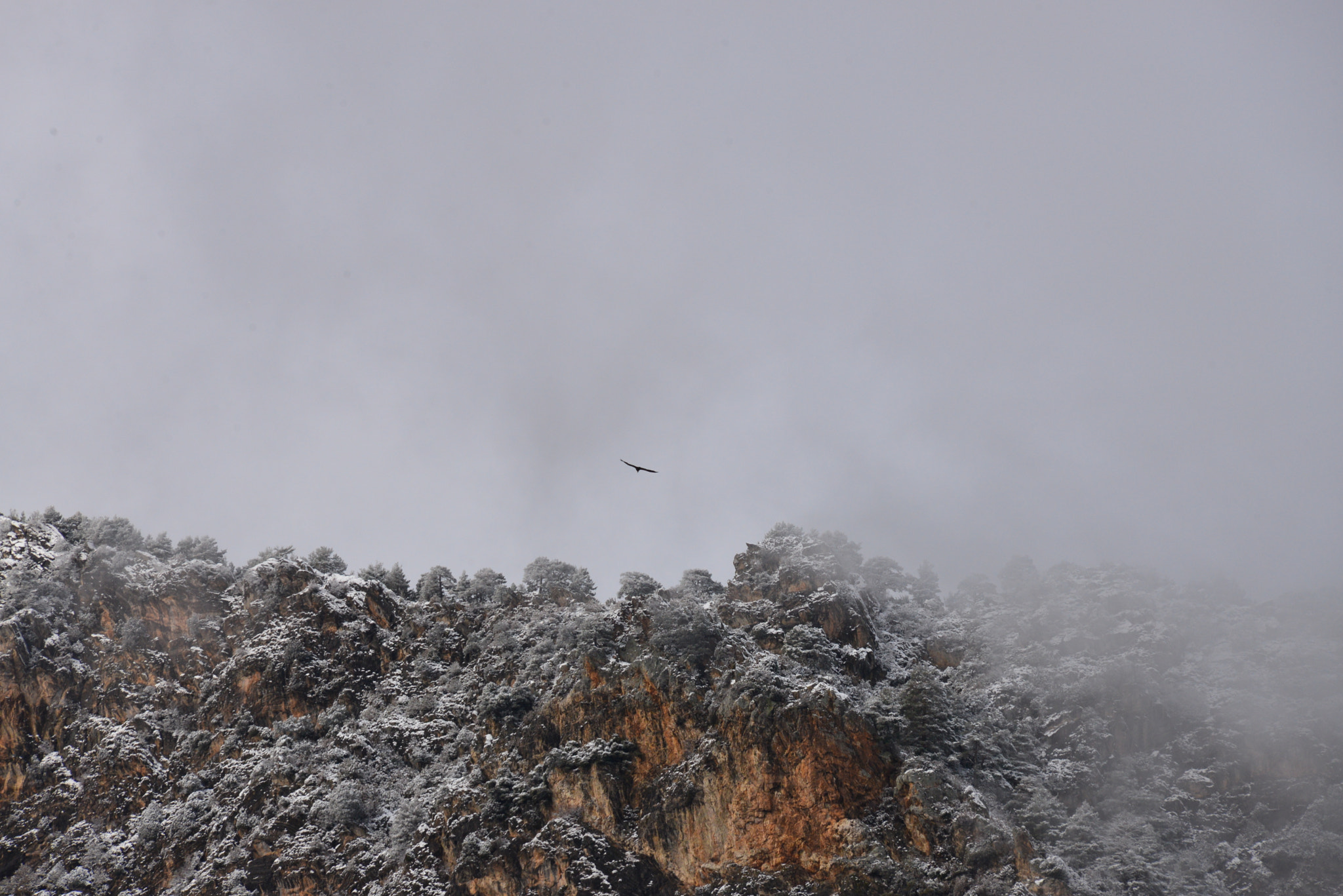 Nikon D610 sample photo. Andorra photography