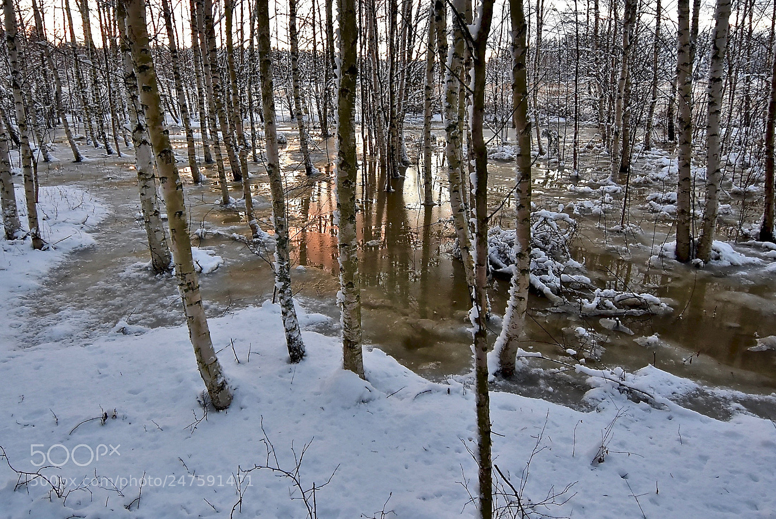 Nikon D7200 sample photo. Flood photography
