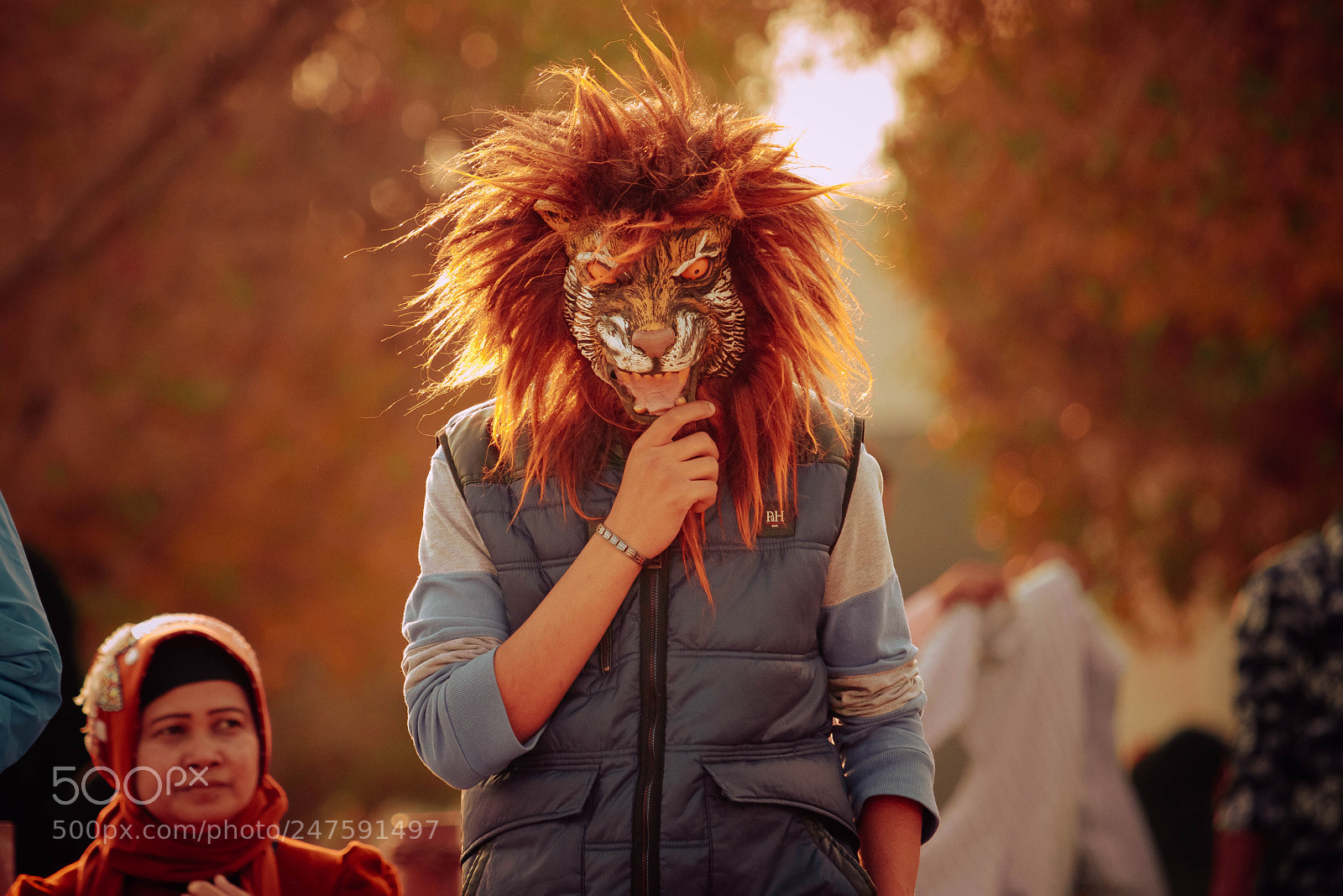 Canon EOS 80D sample photo. Lion king photography