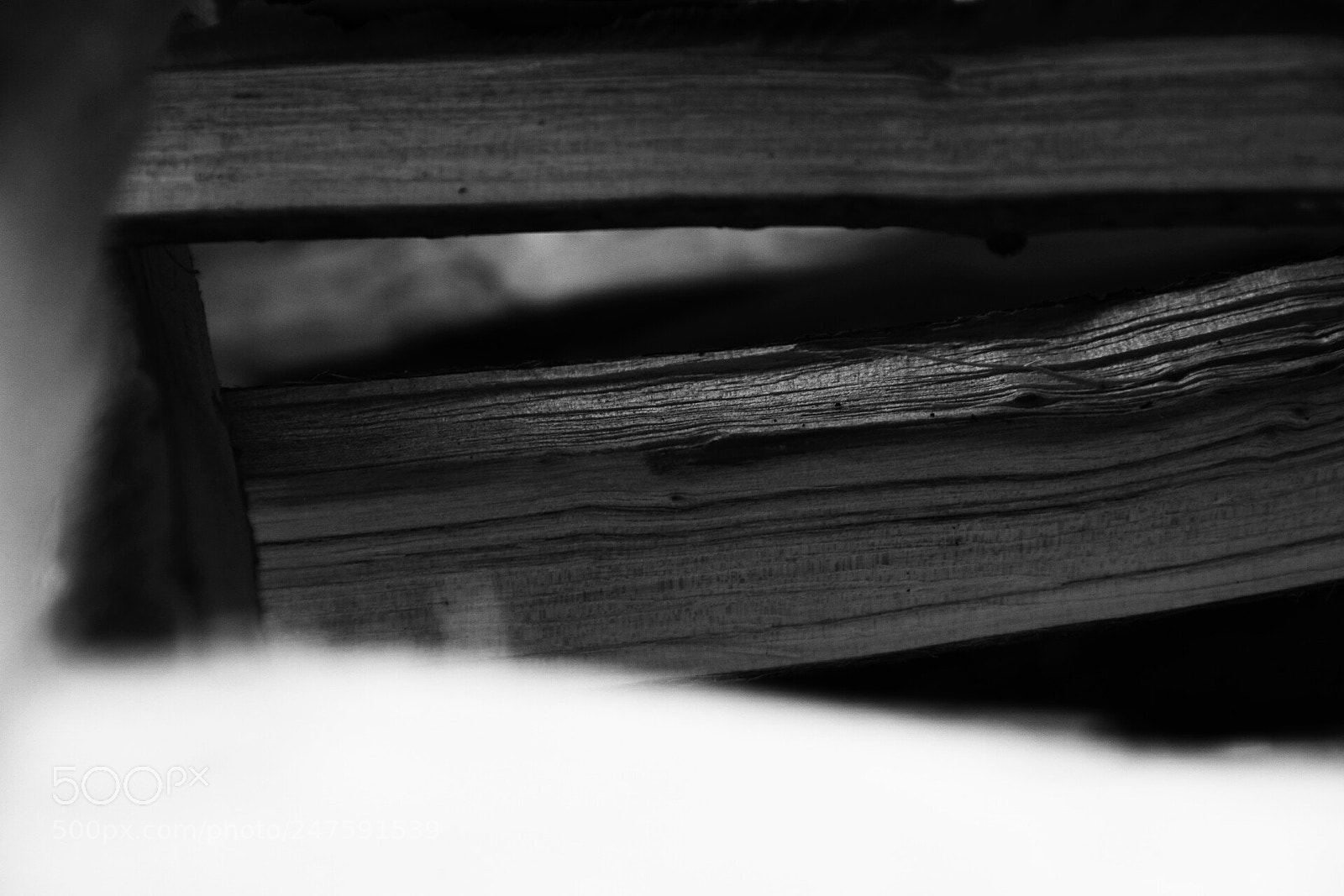 Canon EOS 80D sample photo. Untitled photography