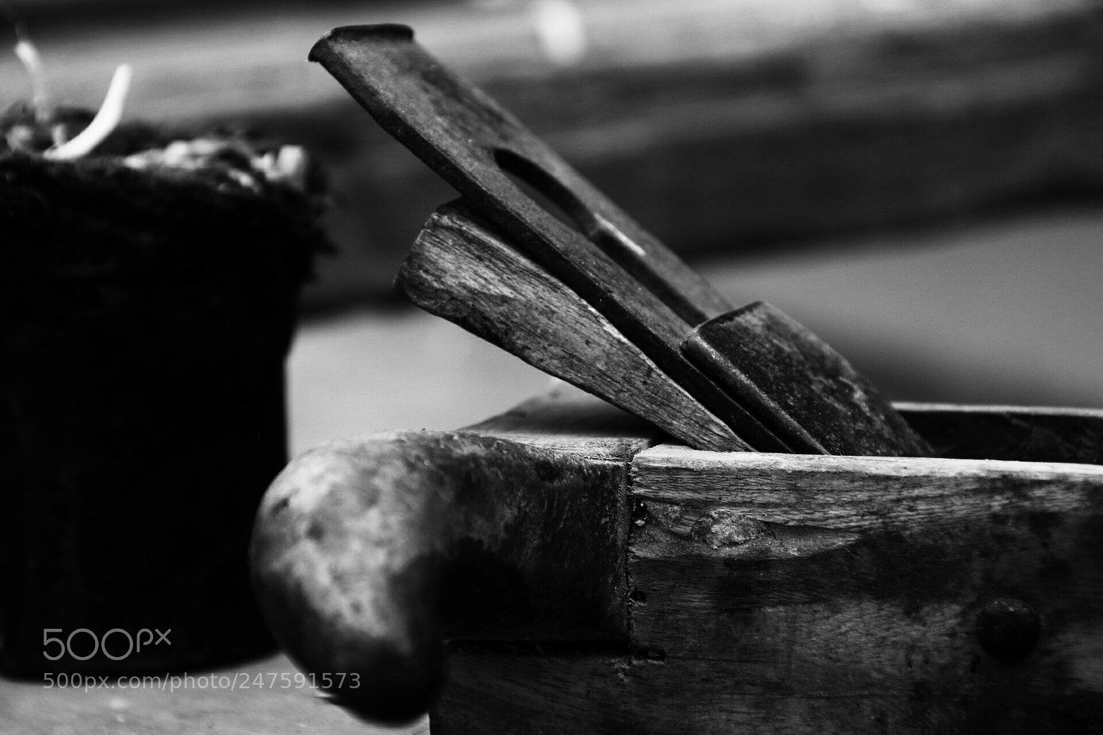 Canon EOS 80D sample photo. Untitled photography