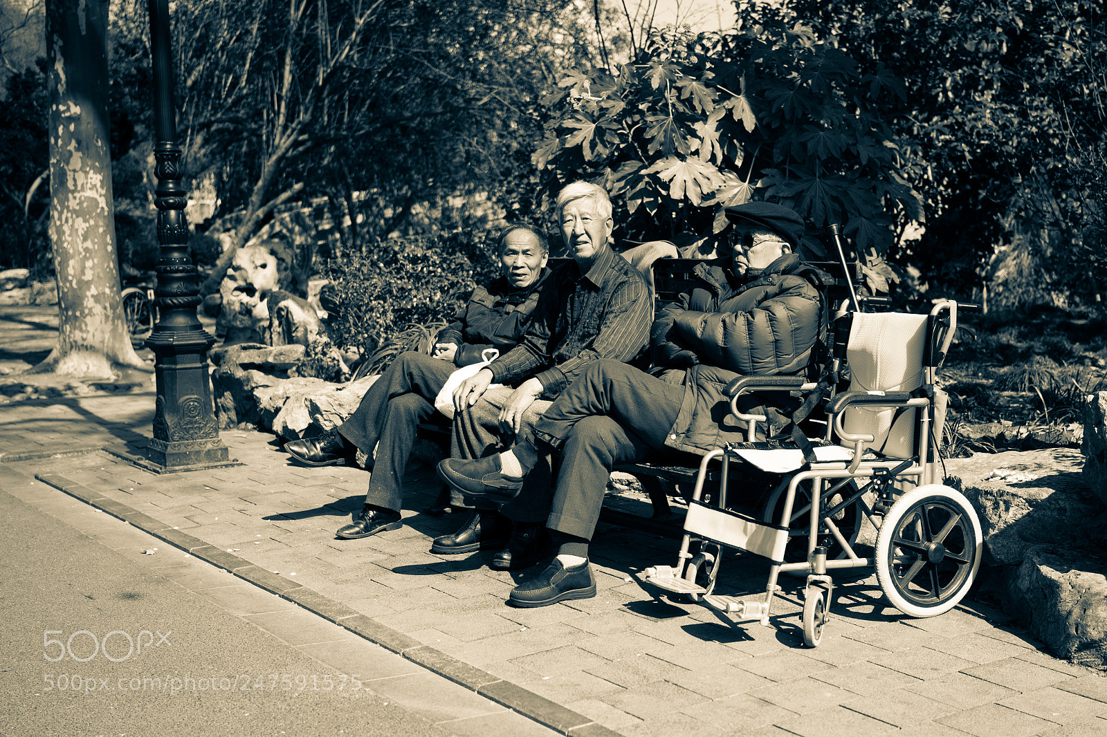 Sony a7 sample photo. Old friends photography
