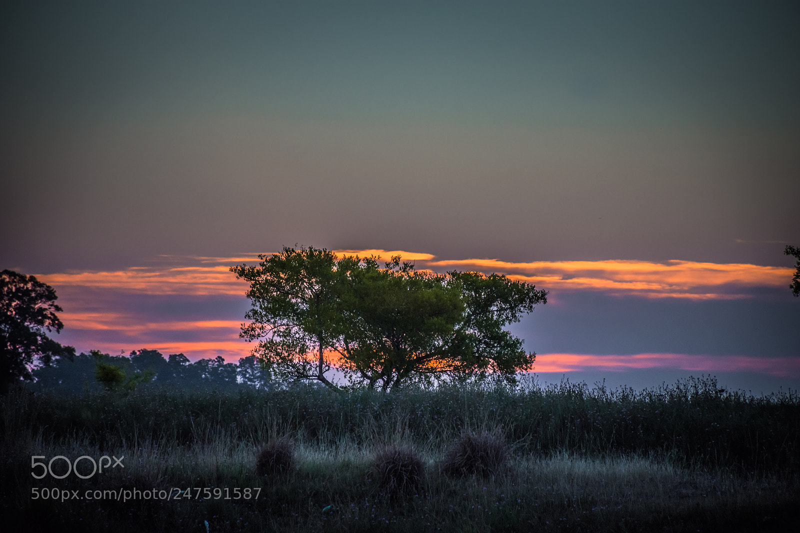Nikon D7200 sample photo. Colores del atardecer veraniego photography