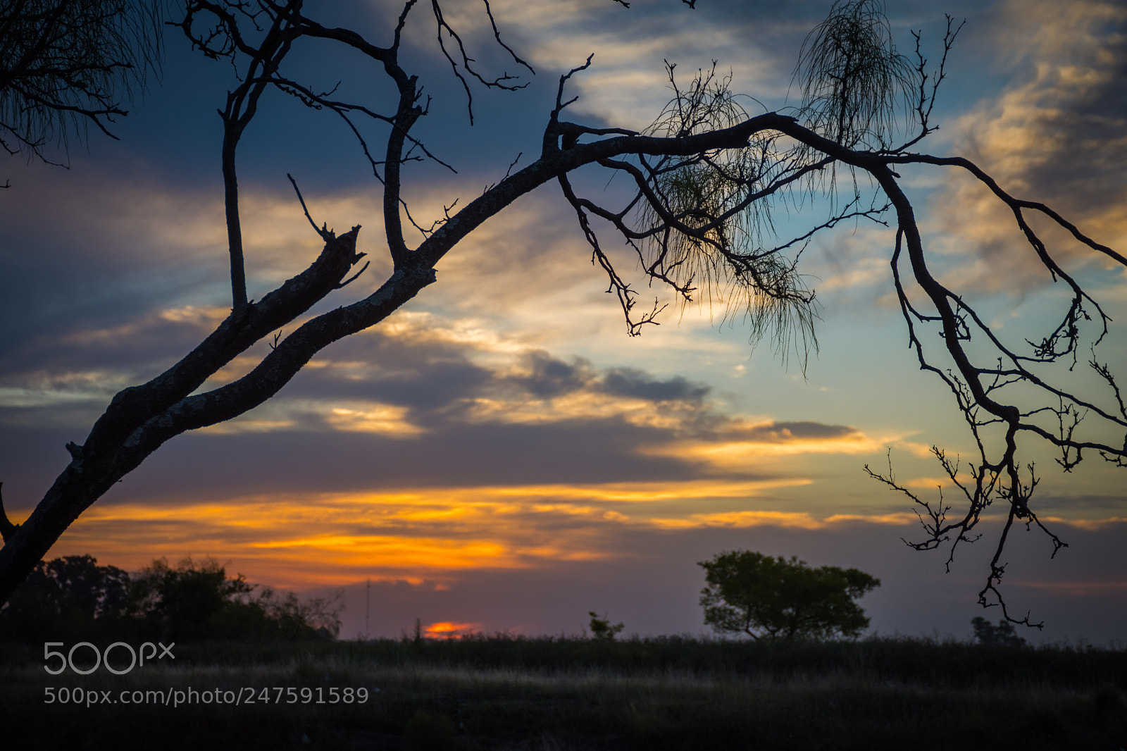 Nikon D7200 sample photo. Colores del atardecer veraniego photography